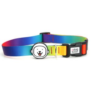 Coleira para Cachorro Rainbow