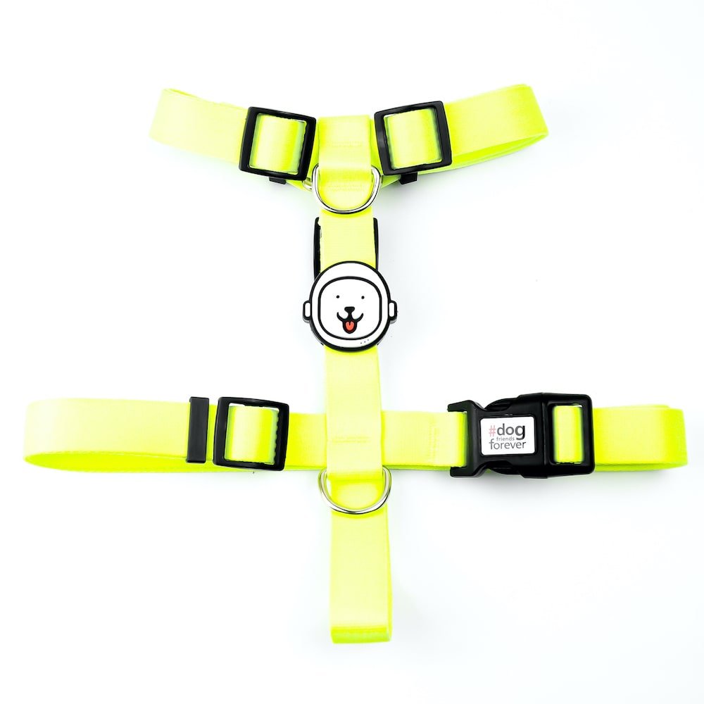 Peitoral H para Cachorro Amarelo Neon